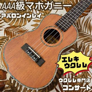 【入門セット】BWSのマホガニー材・黒いコンサートウクレレ【ウクレレ専門店】 【送料無料（一部地域を除く）】 72.0%OFF www