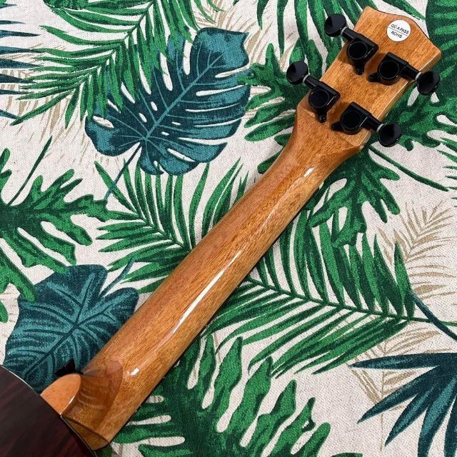 Smijer ukulele】シダー材(杉)単板のエレキ・コンサートウクレレ