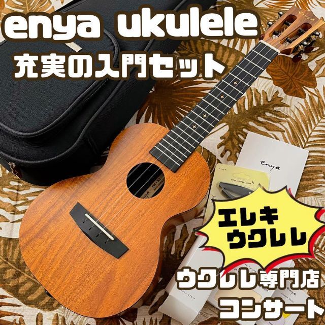 カーリー・アカシアコア材のコンサートウクレレ - 通販 - azenco.co.uk