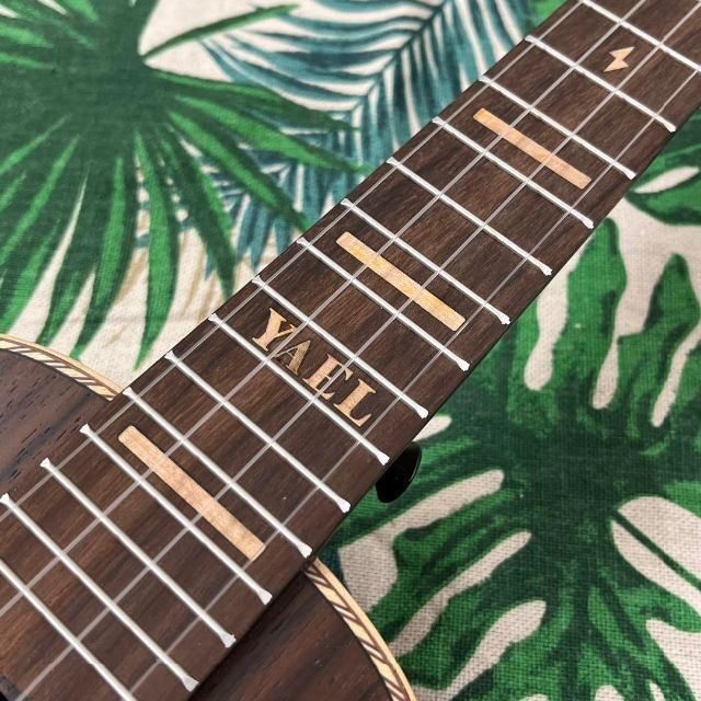 YAEL ukulele】ローズウッド材のエレキ・コンサートウクレレ 春の