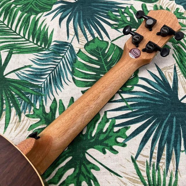YAEL ukulele】ローズウッド材のエレキ・コンサートウクレレ-