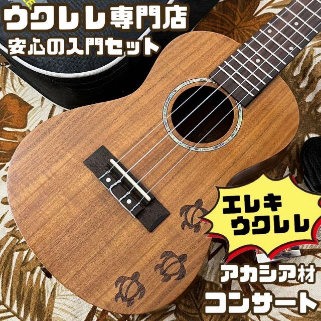 kalane ukulele】アカシア材 ホヌ模様のエレキ・コンサートウクレレ 雑誌で紹介された 51.0%OFF 