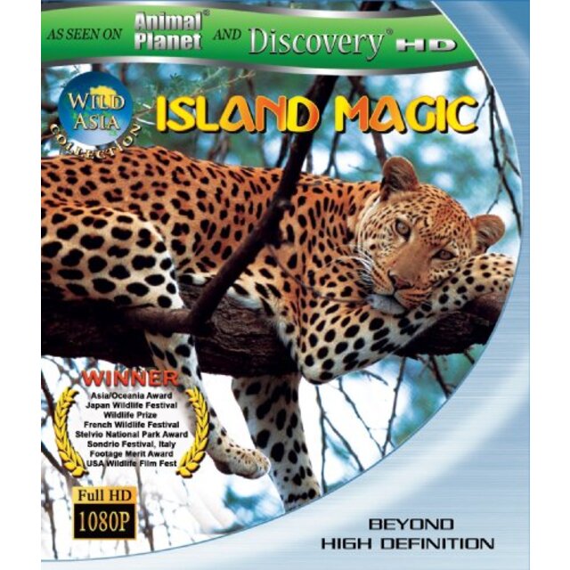 中古】Island　[Blu-ray]　Asia　Magic:　Wild　売れ筋がひ新作！
