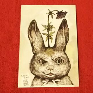 ヒグチユウコ(ヒグチユウコ)の・クロユリさん ヒグチユウコ ポストカード POSTCARD ANIMALS(印刷物)