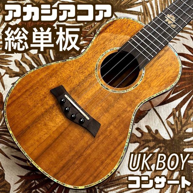 【タイムセール2】【コンサートボディ】Famous　FU-250CE