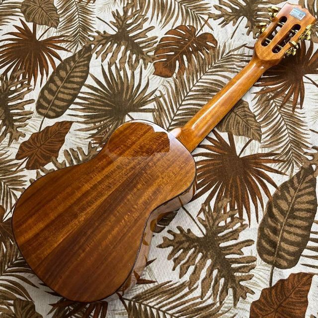 UKBOY】コア材総単板・桔梗花のエレキ・コンサートウクレレ【ukulele