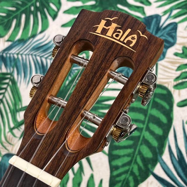 【Hala ukulele】マホガニー単板のエレキ・コンサートウクレレ