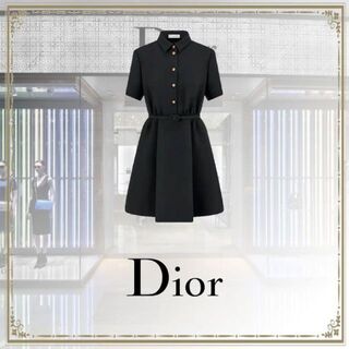 ディオール(Christian Dior) ひざ丈ワンピース(レディース)（チュール 