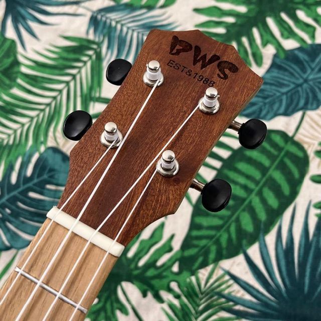 BWS ukulele】マホガニー材のエレキ・テナーウクレレ【入門セット】 国内外の人気 10608円