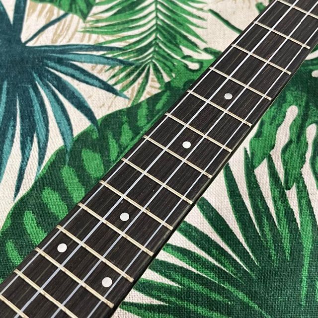 IRIN ukulele】ウォルナット材のエレキ・テナーウクレレ【入門セット