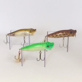 購入格安 - メガドッグ 激レアオリカラ アミメニシキヘビ メガバス