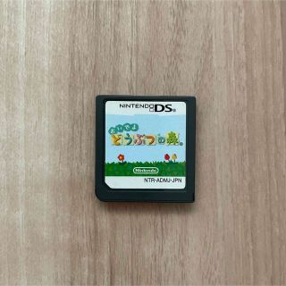 ニンテンドーDS おいでよどうぶつの森(携帯用ゲームソフト)