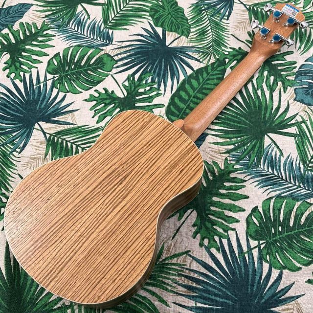 【music ukulele】ゼブラウッドのエレキ・テナーウクレレ【入門セット】 【売れ筋】 49.0%割引 minyoukashi.com