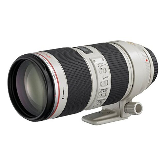 Canon 望遠ズームレンズ EF70-200mm F2.8L IS II USM フルサイズ対応 wyw801m