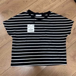 ザラ(ZARA)のZARA ボーダートップス　ボーダーTシャツ ショート丈(Tシャツ(半袖/袖なし))