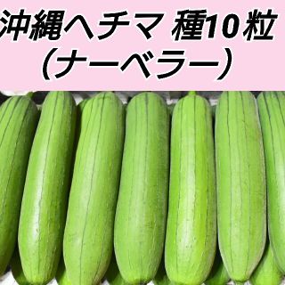 沖縄ヘチマ ナーベラー 種10粒(プランター)