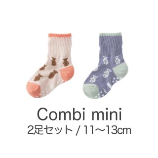 コンビミニ(Combi mini)のくま 11〜13cm  Combi mini シューフィットソックス こぐま(靴下/タイツ)