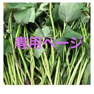 なさわかな様専用金時30紫20(野菜)