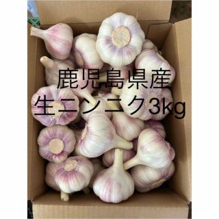 生ニンニク3kg  鹿児島県産(野菜)