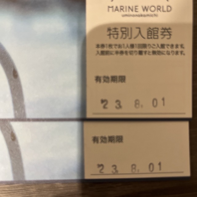 マリンワールド　海の中道 チケットの施設利用券(水族館)の商品写真