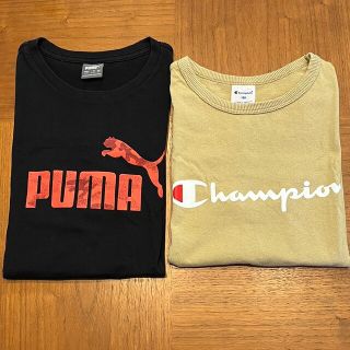 プーマ(PUMA)のPUMA、チャンピオン　Tシャツ　2枚セット　150cm(Tシャツ/カットソー)