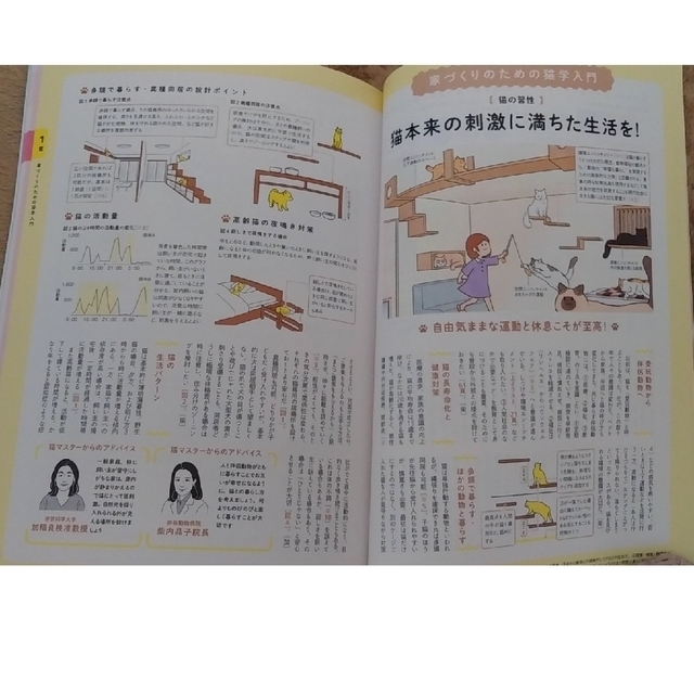 建築知識 2023年 5月号「猫のための間取り」 エンタメ/ホビーの雑誌(専門誌)の商品写真