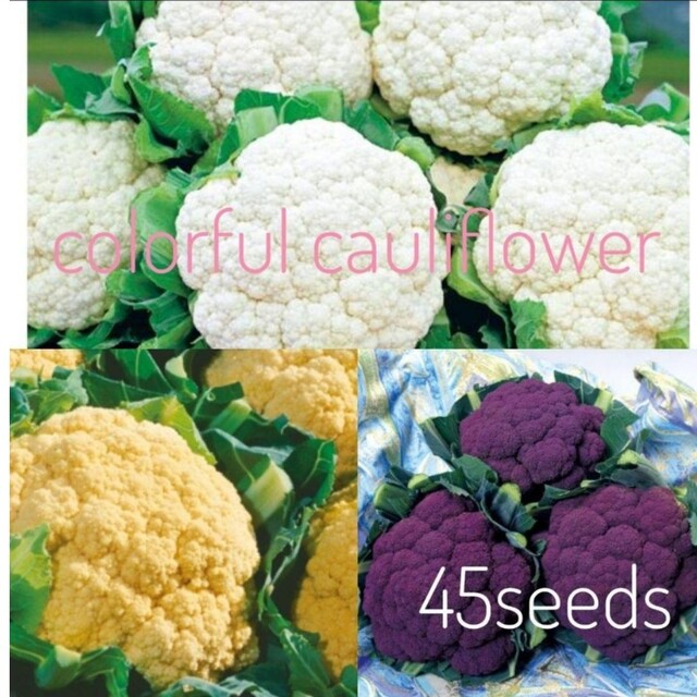 はな様専用 カリフラワー3色セット 種45粒 紅かおり 種50粒の通販 by