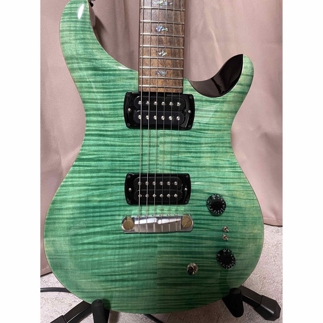 Paul Reed Smith(PRS) SE Paul's Guitar難あり