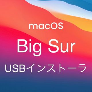 mac OS Big Sur 11.7.10 インストールUSBメモリ 起動(PC周辺機器)