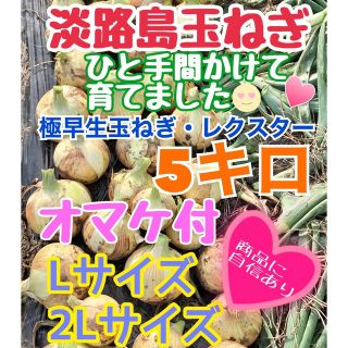 【農家直送】『秀品』淡路島新玉ねぎ  定植後農薬無使用・5キロ・オマケあり❣︎(野菜)