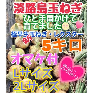 【農家直送】『秀品』淡路島新玉ねぎ・定植後農薬無使用・5キロ・オマケあり❣︎(野菜)