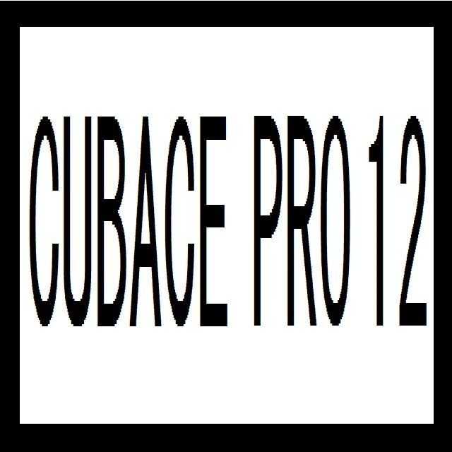 スタインバーグ CUBASE PRO 1２ 国内正規品 通常版楽器