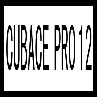 スタインバーグ CUBASE PRO 1２ 国内正規品 通常版(DAWソフトウェア)