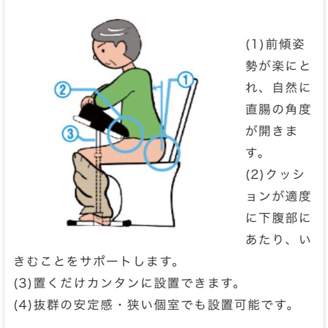 トイレでふんばる君Z 排便 介護 在宅用 麻痺 姿勢保持 sale 国内外の