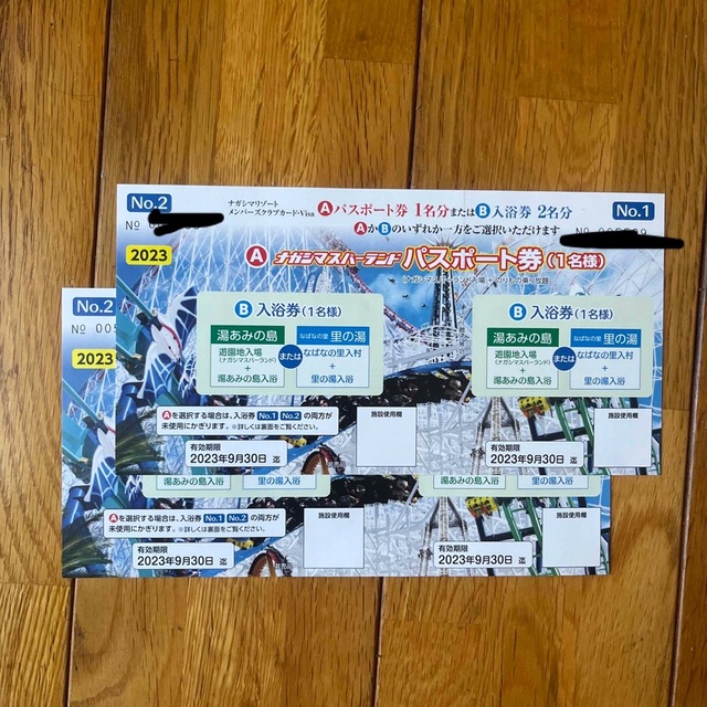 ナガシマスパーランド パスポート2枚 遊園地/テーマパーク ♡レア