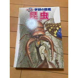 学研　昆虫図鑑(絵本/児童書)