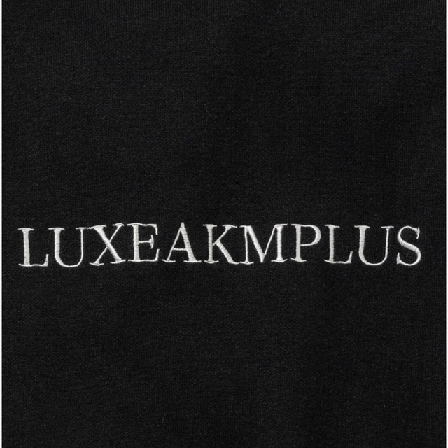 【LUXEAKMPLUS】フロントロゴモックネックニット