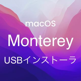 mac OS Monterey 12.7.1 インストールUSBメモリ 起動(PC周辺機器)