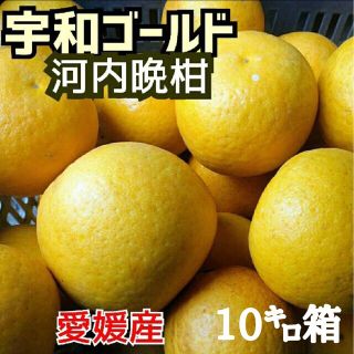 愛媛県産☆河内晩柑 宇和ゴールド 家庭用10㌔箱☆(フルーツ)