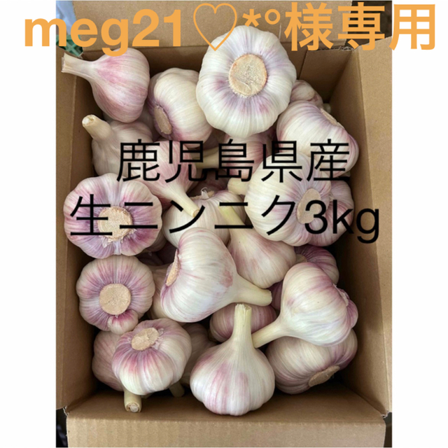 meg21♡*°様専用 食品/飲料/酒の食品(野菜)の商品写真