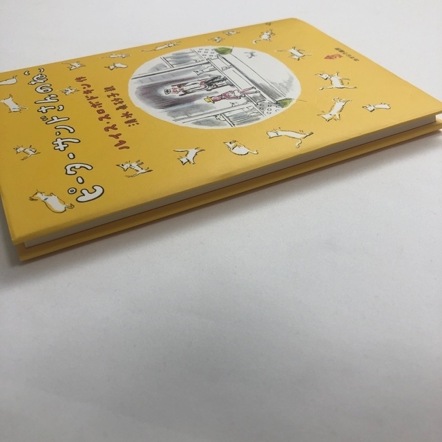 【新品】ピ－タ－サンドさんのねこ エンタメ/ホビーの本(絵本/児童書)の商品写真