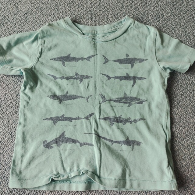 GAP(ギャップ)のサメTシャツ二枚セット キッズ/ベビー/マタニティのベビー服(~85cm)(Ｔシャツ)の商品写真
