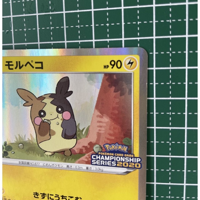 ポケモン - ポケモンカード モルペコ チャンピオンシップシリーズ2020