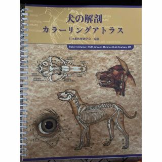 犬の解剖カラ－リングアトラス(住まい/暮らし/子育て)