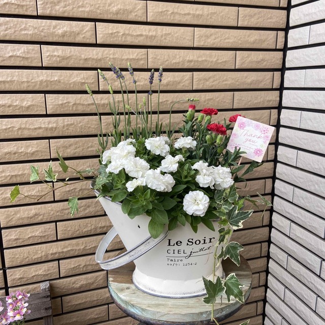 寄せ植えポット型ブリキに母の日寄せ植え♡