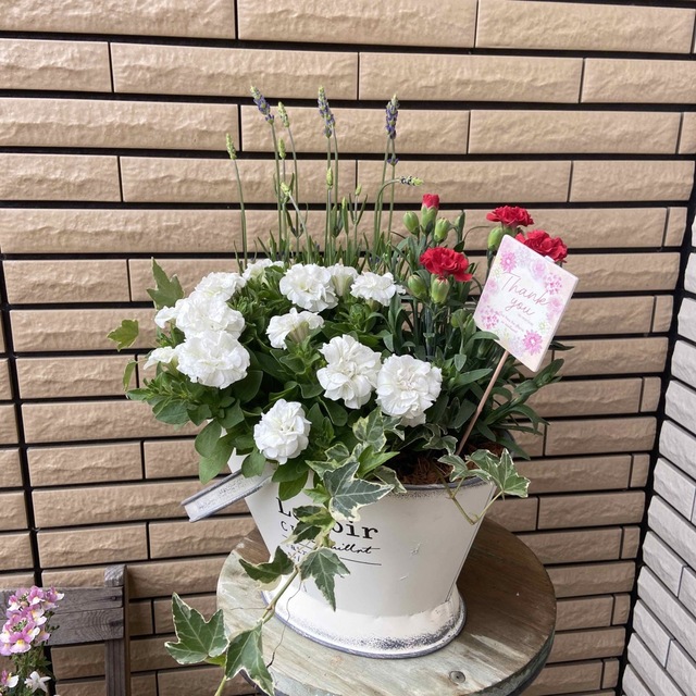 寄せ植えポット型ブリキに母の日寄せ植え♡