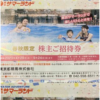 東京サマーランド　株主優待券8枚(遊園地/テーマパーク)