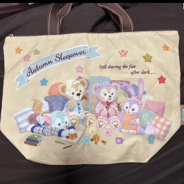 ディズニーシー オータムスリープオーバー クッション & トートバック