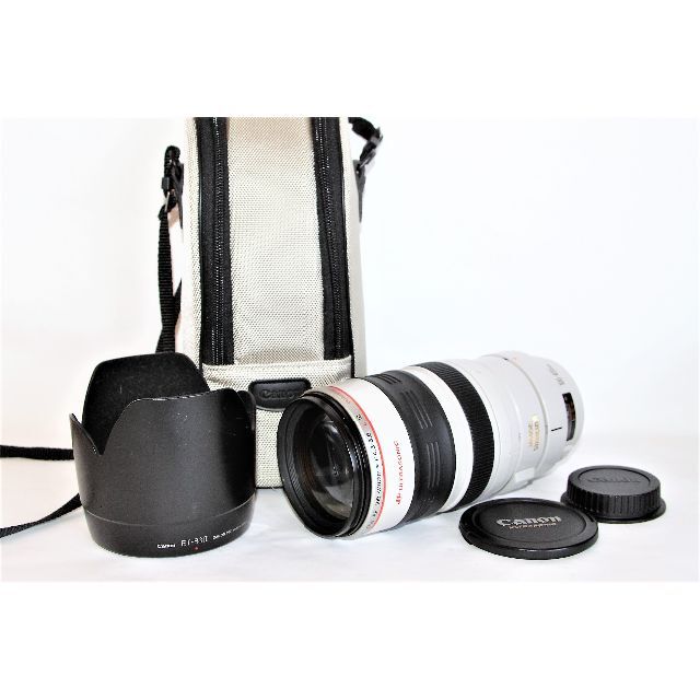 Canon EF 100-400mm 1:4.5-5.6 L IS USM