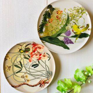 アンソロポロジー(Anthropologie)の母の日ギフトアンソロポロジーお花のデザートペアプレートラスト1セット(食器)